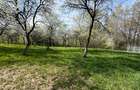 Teren intravilan 763 mp in zona Bran-Tohanita,judetul Brasov - 14