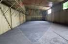 Spațiu industrial hala 318mp de închiriat Bucurestii Noi - 7