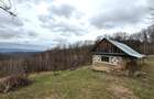 TEREN 34.000 MP | SERANI BIHOR - 1