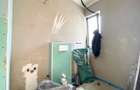 Duplex superb 4 camere Mosnita Noua - Serena - 7
