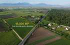 TEREN 45.000 MP | PUZ APROBAT | 156 M FRONT DN11 | PREJMER - BRASOV - 4