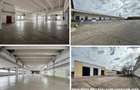 Hale/ spatii comerciale Pascani, str. Vatra, de la 300mp la 5000mp - 1