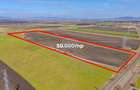 Teren 50.000 mp în Prejmer în spatele parcului industrial - 3