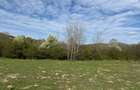 Teren intravilan 500 mp sau 1000 mp în Zarnesti –Tohanita cu parau(izvor) - 3