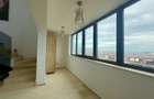 Penthouse/Duplex-3 camere-terasa 105 mp-piscina exterioara-7 min metrou Berceni - 11