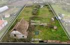 Teren intravilan 3.593 mp de vânzare în Parța - 8