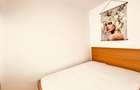 Apartament 2 camere Auchan Vitan, stradal, CENTRALA, mobilat si utilat modern - 11