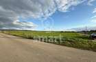 Teren Bistrita Valea Jelnei 19 eur mp - 1