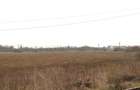 OTOPENI - Str. Drumul Garii Balotesti, 30.400 mp. teren ideal dezvoltare imob. - 4
