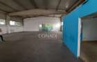 De inchiriat Hala C1 - zona DNCB Clinceni - 10