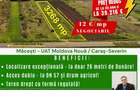 Macesti jud. CS - Teren extravilan de vanzare - la doar 26 metri de Dunare - 1