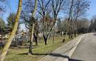 Andrei Muresanu, 570mp, front 20m, zona superba, vis a vis de parc - 2