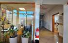 Hale Industriale 5065 mp de vanzare Str. Bradului - Bacau - 9