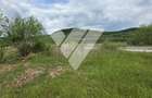 Teren intravilan industrial 2.779 mp de vânzare, DN1 Cristian, Sibiu - 3