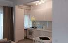 apartament  de inchiriat cu 2 camere  in zona Herastrau - 13