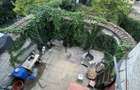 Casa-Curte proprie | Plantelor | - 23