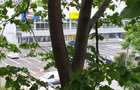 Apartament o camera circumvalatiunii 250euro - 3