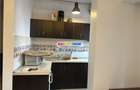 Inchiriere apartament 2 camere cochet Chitilei - Parcul Bazilescu - 15
