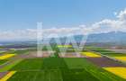 Teren 10.600 mp în Codlea – ideal pentru investiție industrială - 10