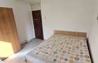2 camere, clasic, pet friendly, metrou, piata Gorjului, semistradal, decomandat - 16