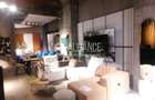 Spatiu comercial de inchiriat- (cod10)- EUROMATERNA - 12