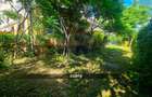 Apartament cu 3 camere si grădină de vânzare - 22