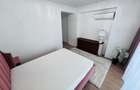 Inchiriere Apartament Spatios Iancu Nicolae I Cambridge - 24