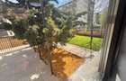  Inchiriere casa Dobroești–Fundeni Lux P+1 | Curte 320 mp | Stradă Privată | A0 - 2
