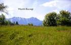 Teren intravilan plat in Bran, 1000 mp, vedere către Bucegi, utilitati - 3