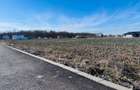 Teren Ciofliceni lângă pădure,Utilități complete Comision 0 - 6
