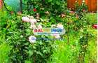 Vanzare casa parter constructie 2014 autostrada A1 teren 1500mp - 8