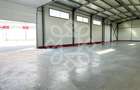 Hala pentru depozitare 400 mp Calea Borsului, Oradea - 5