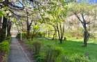 Apartament cochet de vanzare Floreasca - 5