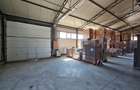 Hale Industriale 5065 mp de vanzare Str. Bradului - Bacau - 11