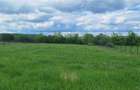 Teren intravilan 3100 m2 Cristian, Sibiu - 3