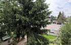 Vila/Spatiu comercial Bd Pipera - 4