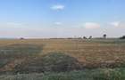 Teren intravilan 29 000 mp, Paulesti. DN1. - 3