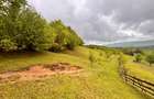 Teren extravilan cu potențial turistic – 5 ha în Josenii Bârgăului - 11