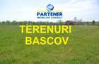 Teren Bascov, diverse suprafete - 1
