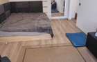 Apartamemt de 1 camera, zona Porii - 3