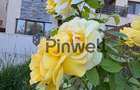 De inchiriat| Vila premium| Pipera| 220 mp utili| Curte proprie - 21