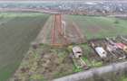 FRUMUSANI-ORASTI, LOT 7.630 MP! - 1