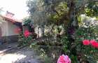 Randament 9.5% Afacere la cheie / Casa de vacanta Thasos Grecia la 50m de plaja - 3