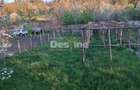 Casă bătrânească cu teren 1150 mp, vie și livadă – Șerbănești, Păușești, Vâlcea - 6