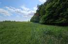 Teren Ilisesti  7000mp extravilan/ DN 17, Suceava - 8