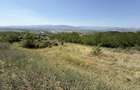 TEREN PANORAMIC 571 MP CIUGUD - 2