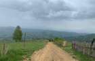 Teren extravilan 2ha, priveliste panoramica spre munti /Poiana Marului - 2