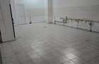 SPATIU DEMISOL 202 MP+CURTE PROPRIE 85 mp - 1