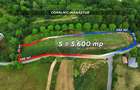 Teren 5600mp | Copalnic-Manastur TOATE UTILITATILE PE PROPRIETATE - 1