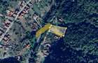 Teren intravilan 2.635 mp Savarsin ideal casa sau investitie - 10